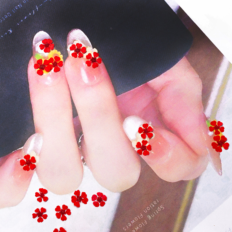 96 piezas de flores naturales  - Resin Art Baby reseña y precio