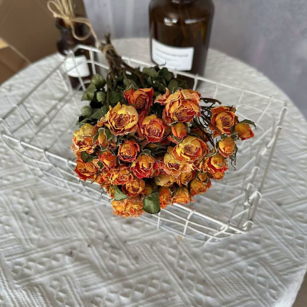 Rosas naturales preservadas, r - Resin Art Rose reseña y precio