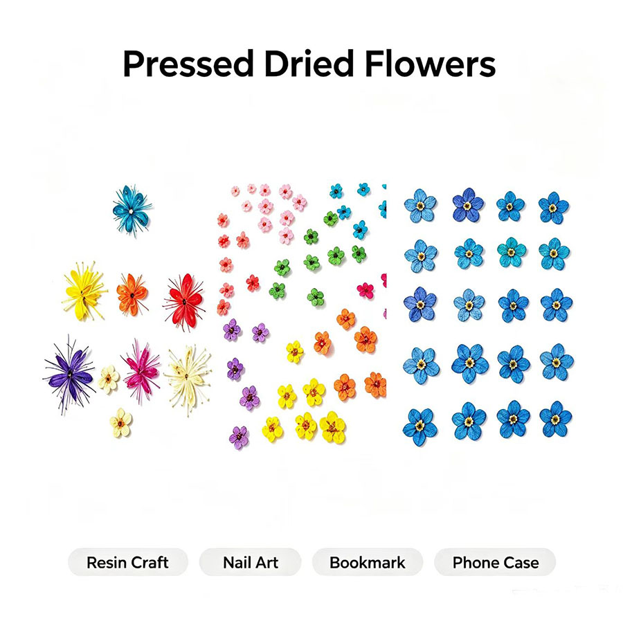 60 piezas de flores secas en m - Resin Art Case reseña y precio